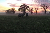 Beautiful views of the Norfolk countryside