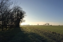 Beautiful views of the Norfolk countryside